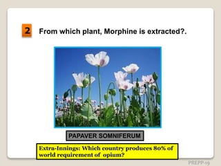 From which plant, Morphine is extracted?.
PAPAVER SOMNIFERUM
Extra-Innings: Which country produces 80% of
world requirement of opium?
2
PREPP-19
 