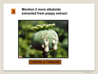 Mention 2 more alkaloids
extracted from poppy extract:
CODEINE & THEBAINE
3
PREPP-19
 