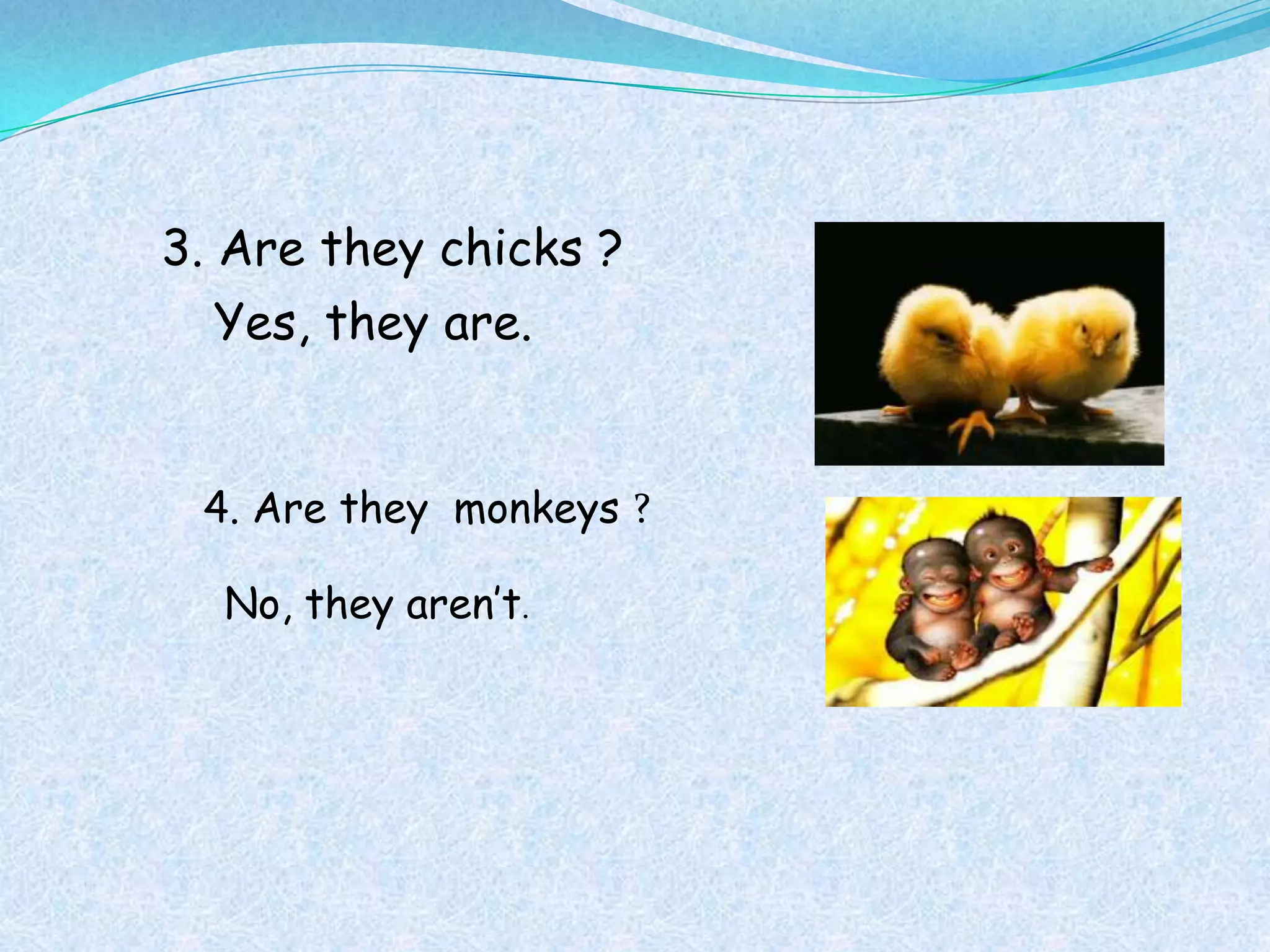 3. Are they chicks ?
  Yes, they are.


 4. Are they monkeys ?

  No, they aren’t.
 