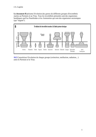 J.A. Lupión

Le document B présente l'évolution des genres de différents groupes d'invertébrés
marins au Permien et au Trias. Tous les invertébrés présentés sont des organismes
benthiques sauf les Nautiloides et les Ammonites qui sont des organismes nectoniques
(qui "nagent").

10.2 Caractérisez l'évolution de chaque groupe (extinction, raréfaction, radiation,...)
entre le Permien et le Trias.

7

 