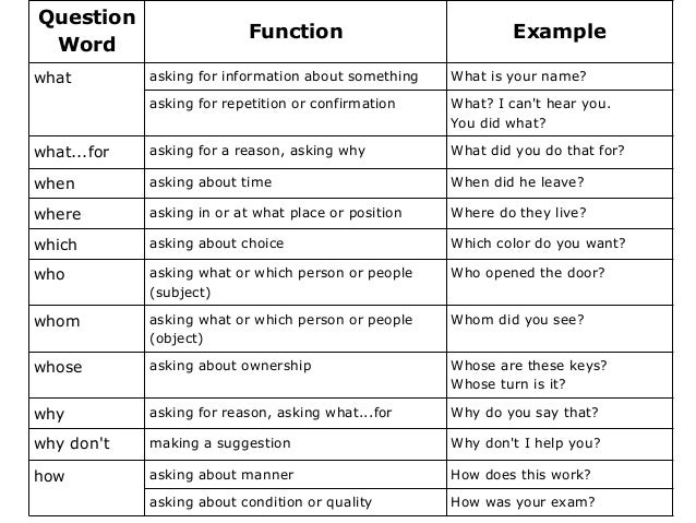 questions words