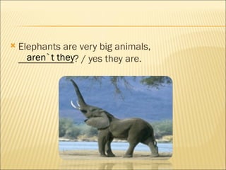    Elephants are very big animals,
      aren`t they
    ___________? / yes they are.
 