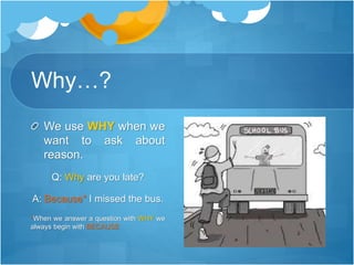 Question Words | PPTX