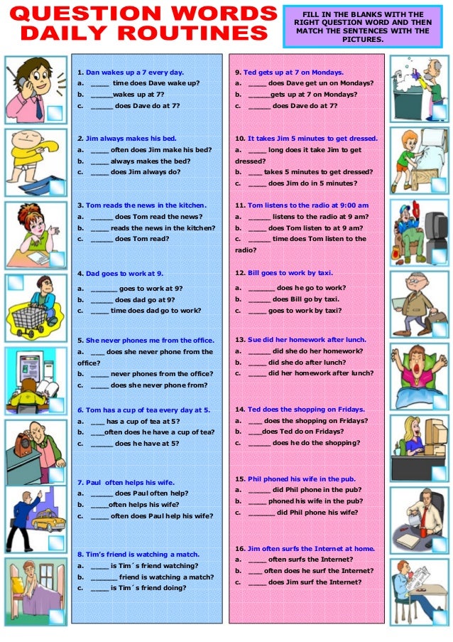 question words daily routines