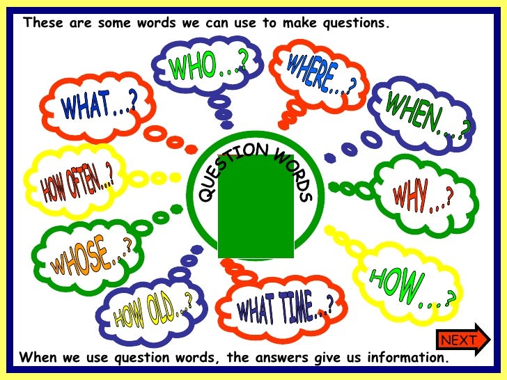 WHAT...? WHO...? HOW OLD...? WHOSE...? WHY...? HOW...? HOW OFTEN...? WHAT TIME...? WHERE...? WHEN...? QUESTION WORDS These...