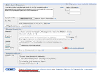 Como desenhar um primer