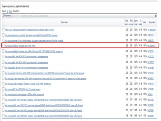 Como desenhar um primer