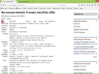 Como desenhar um primer