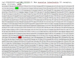 Como desenhar um primer
