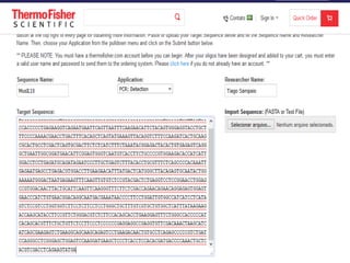 Como desenhar um primer
