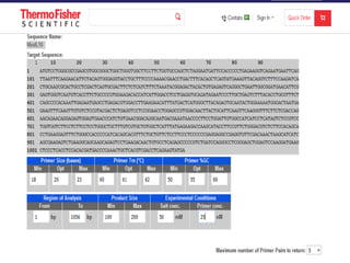 Como desenhar um primer