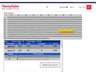 Como desenhar um primer