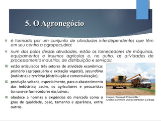 5. O Agronegócio5. O Agronegócio
é formado por um conjunto de atividades interdependentes que têm
em seu centro a agropecuária;
num dos polos dessas atividades, estão os fornecedores de máquinas,
equipamentos e insumos agrícolas e, no outro, as atividades de
processamento industrial, de distribuição e serviços;
estão articulados três setores de atividade econômica:
primário (agropecuária e extração vegetal), secundário
(indústria) e terciário (distribuição e comercialização);
produção voltada, especialmente, para o abastecimento
das indústrias; assim, os agricultores e pecuaristas
tornam-se fornecedores exclusivos;
obedece a normas e exigências do mercado como o
grau de qualidade, peso, tamanho e aparência, entre
outros.
Imagem: Roosevelt Pinheiro/Abr /
Creative Commons License Attribution 3.0 Brazil.
 
