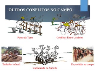 OUTROS CONFLITOS NO CAMPO
Posse da Terra Conflitos Entre Usuários
Capacidade de Suporte
Escravidão no campoTrabalho infantil
 