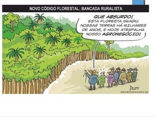 Questão agrária no brasil