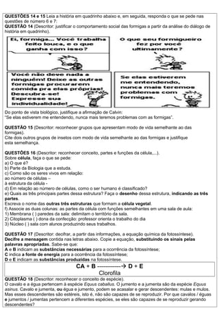 QUESTÔES 14 e 15 Leia a história em quadrinho abaixo e, em seguida, responda o que se pede nas
questões de número 6 e 7:
QUESTÃO 14 (Descritor: justificar o comportamento social das formigas a partir da análise do diálogo de
história em quadrinho).
Do ponto de vista biológico, justifique a afirmação de Calvin:
“Se elas estiverem me entendendo, nunca mais teremos problemas com as formigas”.
QUESTÃO 15 (Descritor: reconhecer grupos que apresentam modo de vida semelhante ao das
formigas).
Cite dois outros grupos de insetos com modo de vida semelhante ao das formigas e justifique
esta semelhança.
QUESTÔES 16 (Descritor: reconhecer conceito, partes e funções da célula,...).
Sobre célula, faça o que se pede:
a) O que é?
b) Parte da Biologia que a estuda.
c) Como são os seres vivos em relação:
ao número de células –
à estrutura da célula -
d) Em relação ao número de células, como o ser humano é classificado?
e) Quais as três principais partes dessa estrutura? Faça o desenho dessa estrutura, indicando as três
partes.
Escreva o nome das outras três estruturas que formam a célula vegetal.
f) Associe as duas colunas: as partes da célula com funções semelhantes em uma sala de aula:
1) Membrana ( ) paredes da sala: delimitam o território da sala.
2) Citoplasma ( ) dona da confecção: professor orienta o trabalho do dia
3) Núcleo ( ) sala com alunos produzindo seus trabalhos.
QUESTÂO 17 (Descritor: decifrar, a partir das informações, a equação química da fotossíntese).
Decifre a mensagem contida nas letras abaixo. Copie a equação, substituindo os sinais pelas
palavras apropriadas. Sabe-se que:
A e B indicam as substâncias necessárias para a ocorrência da fotossíntese;
C indica a fonte de energia para a ocorrência da fotossíntese;
D e E indicam as substâncias produzidas na fotossíntese.
CA + B ------------ D + E
Clorofila
QUESTÂO 18 (Descritor: reconhecer o conceito de espécie).
O cavalo e a égua pertencem à espécie Equus caballus. O jumento e a jumenta são da espécie Equus
asinus. Cavalo e jumenta, ou égua e jumento, podem se acasalar e gerar descendentes: mulas e mulos.
Mas esses descendentes são estéreis, isto é, não são capazes de se reproduzir. Por que cavalos / éguas
e jumentos / jumentas pertencem a diferentes espécies, se eles são capazes de se reproduzir gerando
descendentes?
 