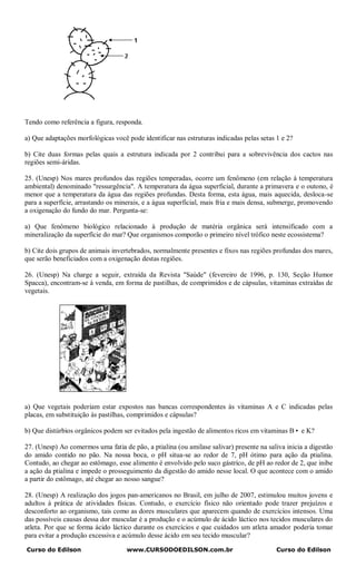 Tendo como referência a figura, responda.

a) Que adaptações morfológicas você pode identificar nas estruturas indicadas pelas setas 1 e 2?

b) Cite duas formas pelas quais a estrutura indicada por 2 contribui para a sobrevivência dos cactos nas
regiões semi-áridas.

25. (Unesp) Nos mares profundos das regiões temperadas, ocorre um fenômeno (em relação à temperatura
ambiental) denominado "ressurgência". A temperatura da água superficial, durante a primavera e o outono, é
menor que a temperatura da água das regiões profundas. Desta forma, esta água, mais aquecida, desloca-se
para a superfície, arrastando os minerais, e a água superficial, mais fria e mais densa, submerge, promovendo
a oxigenação do fundo do mar. Pergunta-se:

a) Que fenômeno biológico relacionado à produção de matéria orgânica será intensificado com a
mineralização da superfície do mar? Que organismos comporão o primeiro nível trófico neste ecossistema?

b) Cite dois grupos de animais invertebrados, normalmente presentes e fixos nas regiões profundas dos mares,
que serão beneficiados com a oxigenação destas regiões.

26. (Unesp) Na charge a seguir, extraída da Revista "Saúde" (fevereiro de 1996, p. 130, Seção Humor
Spacca), encontram-se à venda, em forma de pastilhas, de comprimidos e de cápsulas, vitaminas extraídas de
vegetais.




a) Que vegetais poderiam estar expostos nas bancas correspondentes às vitaminas A e C indicadas pelas
placas, em substituição às pastilhas, comprimidos e cápsulas?

b) Que distúrbios orgânicos podem ser evitados pela ingestão de alimentos ricos em vitaminas B• e K?

27. (Unesp) Ao comermos uma fatia de pão, a ptialina (ou amilase salivar) presente na saliva inicia a digestão
do amido contido no pão. Na nossa boca, o pH situa-se ao redor de 7, pH ótimo para ação da ptialina.
Contudo, ao chegar ao estômago, esse alimento é envolvido pelo suco gástrico, de pH ao redor de 2, que inibe
a ação da ptialina e impede o prosseguimento da digestão do amido nesse local. O que acontece com o amido
a partir do estômago, até chegar ao nosso sangue?

28. (Unesp) A realização dos jogos pan-americanos no Brasil, em julho de 2007, estimulou muitos jovens e
adultos à prática de atividades físicas. Contudo, o exercício físico não orientado pode trazer prejuízos e
desconforto ao organismo, tais como as dores musculares que aparecem quando de exercícios intensos. Uma
das possíveis causas dessa dor muscular é a produção e o acúmulo de ácido láctico nos tecidos musculares do
atleta. Por que se forma ácido láctico durante os exercícios e que cuidados um atleta amador poderia tomar
para evitar a produção excessiva e acúmulo desse ácido em seu tecido muscular?

Curso do Edilson                    www.CURSODOEDILSON.com.br                             Curso do Edilson
 