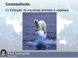 Consequências:
C) Extinção de espécies animais e vegetais;
 