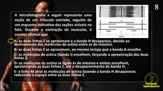 A- as duas linhas Z se aproximam e a banda H desaparece, devido ao
deslizamento das moléculas de actina entre as de miosina.
B- as duas linhas Z se aproximam, ao mesmo tempo que a banda A encolhe.
C- as moléculas de actina (banda I) encolhem, forçando a aproximação das duas
linhas Z.
D- as moléculas de actina se ligam às de miosina e ambas encolhem,
aproximando as duas linhas Z, até o desaparecimento da banda H.
E- a linha M atrai as moléculas de actina fazendo a banda H desaparecer,
reduzindo o espaço entre as duas linhas Z.
A microfotografia a seguir representa uma
seção de um músculo estriado, seguida de
um esquema indicativo das seções visíveis na
foto. Durante a contração do muscular, é
correto afirmar que
 