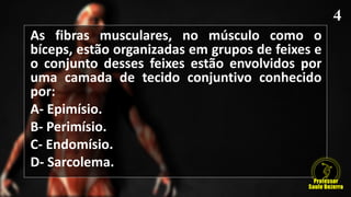As fibras musculares, no músculo como o
bíceps, estão organizadas em grupos de feixes e
o conjunto desses feixes estão envolvidos por
uma camada de tecido conjuntivo conhecido
por:
A- Epimísio.
B- Perimísio.
C- Endomísio.
D- Sarcolema.
 