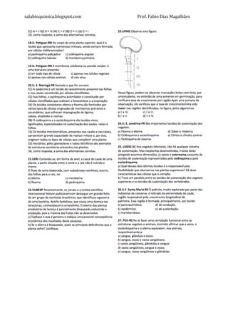 salabioquimica.blogspot.com	
  	
   	
   Prof.	
  Fabio	
  Dias	
  Magalhães	
  
	
  
	
  
	
  
	
  
	
  
	
  
	
  
	
  
 