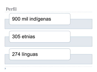 Perfil
900 mil indígenas
305 etnias
274 línguas
 