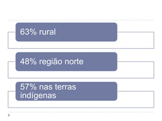 63% rural
48% região norte
57% nas terras
indígenas
 