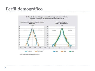 Perfil demográfico
 