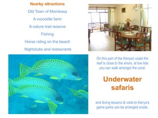 Australia!!Don Pancho Beach ResortQueenslandSee the Humpback whales!!! (mid Aug - -mid Oct) from the luxury catamaran orGiant turtles!!!At the Turtle Rookery at Mon Repos from late November to late January.