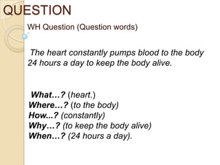 Question Words | PPTX