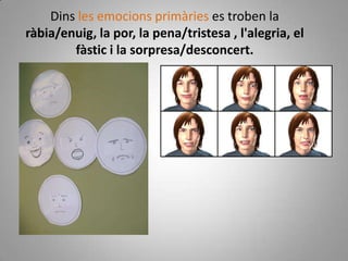 Dins les emocions primàries es troben la ràbia/enuig, la por, la pena/tristesa , l'alegria, el fàstic i la sorpresa/desconcert.