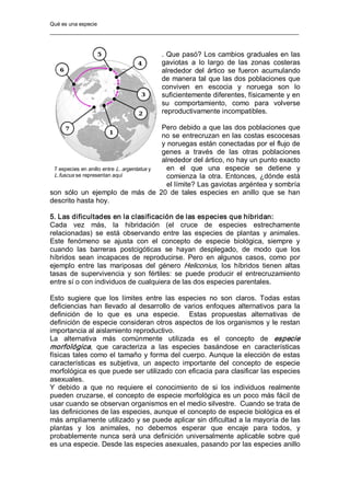 Qué es una especie 
. Que pasó? Los cambios graduales en las 
gaviotas  a  lo  largo  de  las  zonas  costeras 
alrededor  del  ártico  se  fueron  acumulando 
de manera tal que las dos poblaciones que 
conviven  en  escocia  y  noruega  son  lo 
suficientemente diferentes, físicamente y en 
su  comportamiento,  como  para  volverse 
reproductivamente incompatibles. 
Pero debido a que las dos poblaciones que 
no se entrecruzan en las costas escocesas 
y noruegas están conectadas por el flujo de 
genes  a  través  de  las  otras  poblaciones 
alrededor del ártico, no hay un punto exacto 
en  el  que  una  especie  se  detiene  y 
comienza la otra. Entonces, ¿dónde está 
el límite? Las gaviotas argéntea y sombría 
son  sólo  un  ejemplo  de  más  de  20  de  tales  especies  en  anillo  que  se  han 
descrito hasta hoy. 
5. Las dificultades en la clasificación de las especies que hibridan: 
Cada  vez  más,  la  hibridación  (el  cruce  de  especies  estrechamente 
relacionadas)  se  está  observando  entre  las  especies  de  plantas  y  animales. 
Este  fenómeno  se  ajusta  con  el  concepto  de  especie  biológica,  siempre  y 
cuando  las  barreras  postcigóticas  se  hayan  desplegado,  de  modo  que  los 
híbridos  sean  incapaces  de  reproducirse.  Pero  en  algunos  casos,  como  por 
ejemplo  entre  las  mariposas  del  género  Heliconius,  los  híbridos  tienen  altas 
tasas  de  supervivencia  y  son  fértiles:  se  puede  producir  el  entrecruzamiento 
entre sí o con individuos de cualquiera de las dos especies parentales. 
Esto  sugiere  que  los  límites  entre  las  especies  no  son  claros.  Todas  estas 
deficiencias  han llevado  al  desarrollo  de  varios  enfoques  alternativos  para la 
definición  de  lo  que  es  una  especie.  Estas  propuestas  alternativas  de 
definición de especie consideran otros aspectos de los organismos y le restan 
importancia al aislamiento reproductivo. 
La  alternativa  más  comúnmente  utilizada  es  el  concepto  de  especie 
morfológica,  que  caracteriza  a  las  especies  basándose  en  características 
físicas tales como el tamaño y forma del cuerpo. Aunque la elección de estas 
características  es  subjetiva,  un  aspecto  importante  del  concepto  de  especie 
morfológica es que puede ser utilizado con eficacia para clasificar las especies 
asexuales. 
Y  debido  a  que  no  requiere  el  conocimiento  de  si  los  individuos  realmente 
pueden cruzarse, el concepto de especie morfológica es un poco más fácil de 
usar cuando se observan organismos en el medio silvestre.  Cuando se trata de 
las definiciones de las especies, aunque el concepto de especie biológica es el 
más ampliamente utilizado y se puede aplicar sin dificultad a la mayoría de las 
plantas  y  los  animales,  no  debemos  esperar  que  encaje  para  todos,  y 
probablemente nunca será una definición universalmente aplicable sobre qué 
es una especie. Desde las especies asexuales, pasando por las especies anillo 
7 especies en anillo entre L. argentatus y 
L.fuscus se representan aquí
 