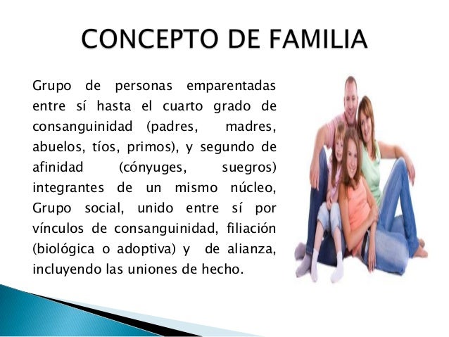 Qué es una familia Qué es una familia