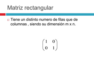 Matriz rectangularTiene un distinto numero de filas que de columnas , siendo su dimensión m x n.