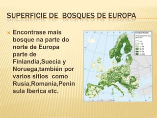 Superficie de  bosques de europaEncontrase mais bosque na parte do norte de Europa parte de Finlandia,Suecia y Noruega,también por varios sitios  como Rusia,Romania,PeninsulaIberica etc.