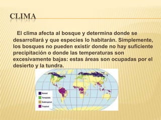 Clima El clima afecta al bosque y determina donde se desarrollará y que especies lo habitarán. Simplemente, los bosques no pueden existir donde no hay suficiente precipitación o donde las temperaturas son excesivamente bajas: estas áreas son ocupadas por el desierto y la tundra. 