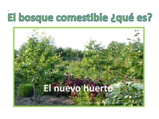 Fuente: www.sergicaballero.com/cursos/curso-de-bosques-comestibles
El nuevo huerto
 