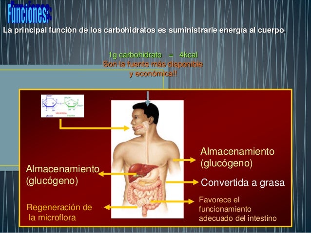Imagen relacionada