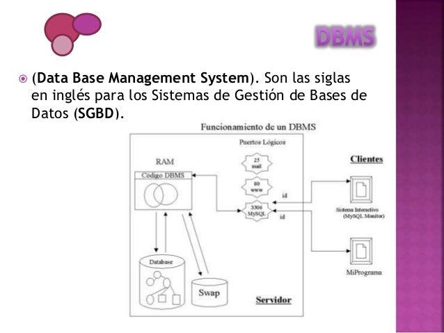 Qué es un dbms