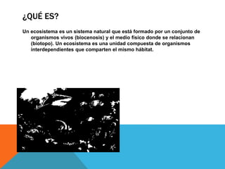¿QUÉ ES?
Un ecosistema es un sistema natural que está formado por un conjunto de
organismos vivos (biocenosis) y el medio físico donde se relacionan
(biotopo). Un ecosistema es una unidad compuesta de organismos
interdependientes que comparten el mismo hábitat.
 