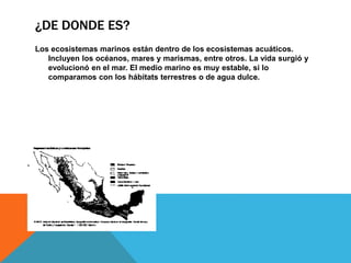 ¿DE DONDE ES?
Los ecosistemas marinos están dentro de los ecosistemas acuáticos.
Incluyen los océanos, mares y marismas, entre otros. La vida surgió y
evolucionó en el mar. El medio marino es muy estable, si lo
comparamos con los hábitats terrestres o de agua dulce.
 