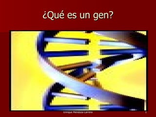 ¿Qué es un gen?




    Enrique Mendoza Carrera   1
 