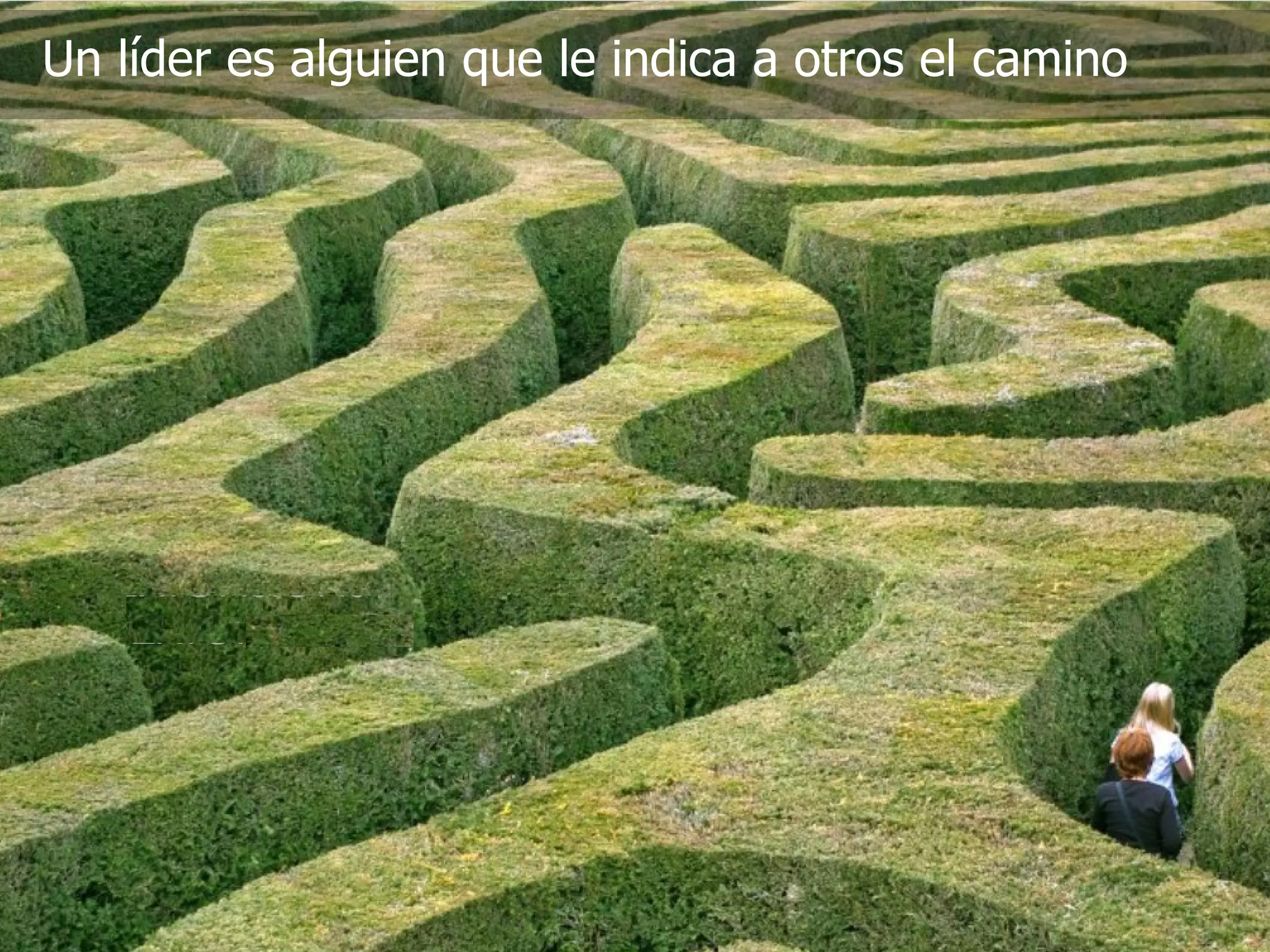 Un líder es alguien que le indica a otros el camino 