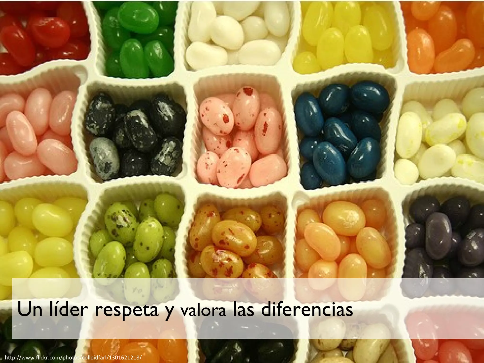 Un líder respeta y  valora  las diferencias http://www.flickr.com/photos/colloidfarl/1301621218/ 