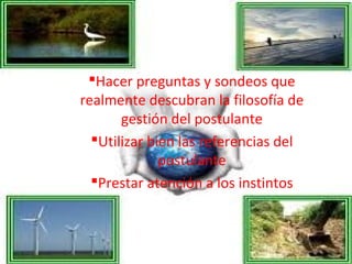 Hacer preguntas y sondeos que
realmente descubran la filosofía de
gestión del postulante
Utilizar bien las referencias del
postulante
Prestar atención a los instintos
 