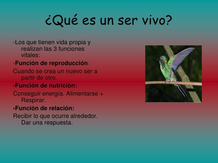 Qué es un ser vivo