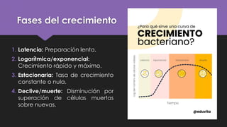 Qué es un ser vivo desde la célula a los sistemas.pptx