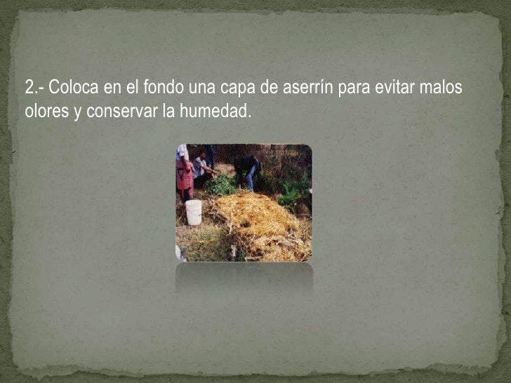Qué Es Y CóMo Se Hace Una Composta Qué Es Y CóMo Se Hace Una Composta