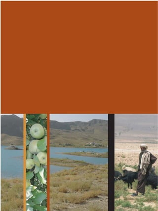 Quetta - Integrated Development Vision