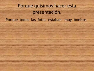 Porque quisimos hacer esta presentación.Porque todos las fotos estaban muy bonitos